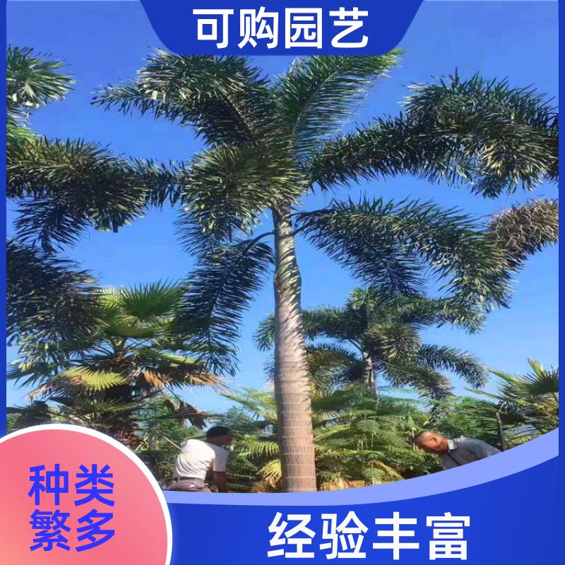 20240315/images/gnamnjtbiieiqeD5oubwNZlHWPRhFU2WfTJwU5C0.jpg