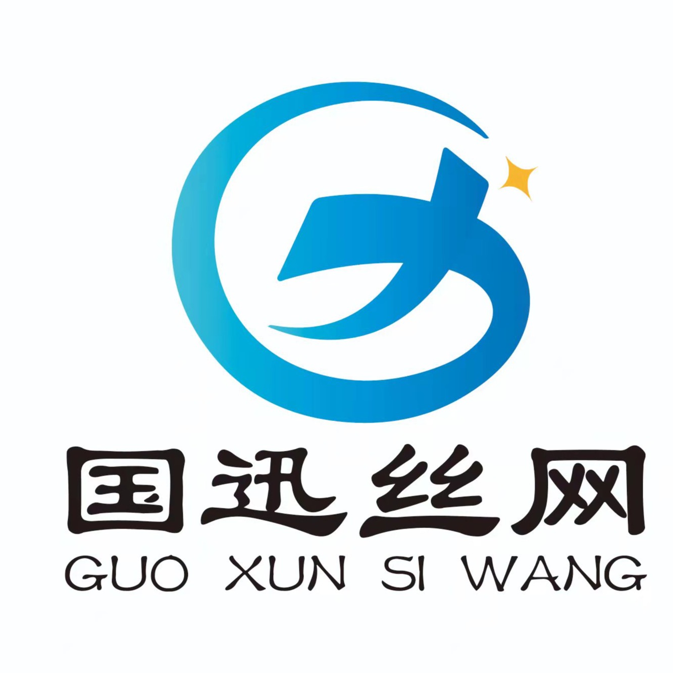 安平县国迅丝网制品有限公司