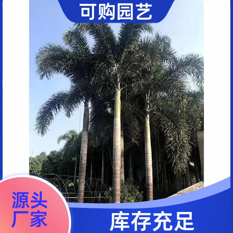 20240315/images/tppkfa8VUIqaNKjXhGDTNCh9Z1uNc0AAROxQ4Ba7.jpg