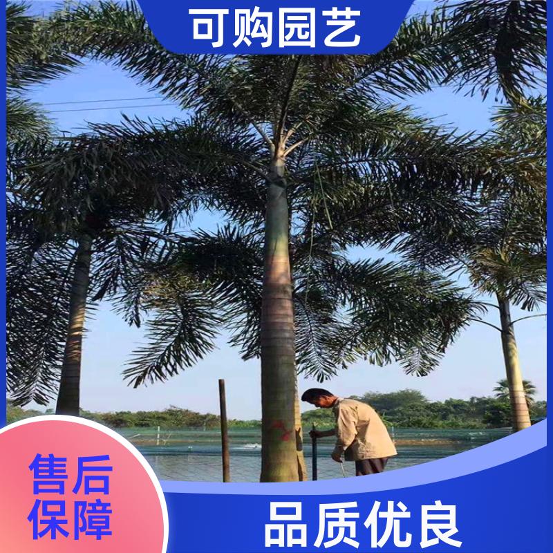 20240315/images/1kXPfJ6yPpsQfskacLE5araBYmtApkvG3RwlDNJD.jpg
