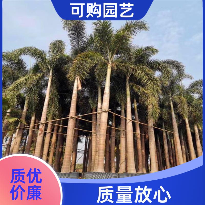 20240315/images/Sn3JjirQDhG5unCwHjXiPvV2GcGbEgcWW5Um9ahD.jpg