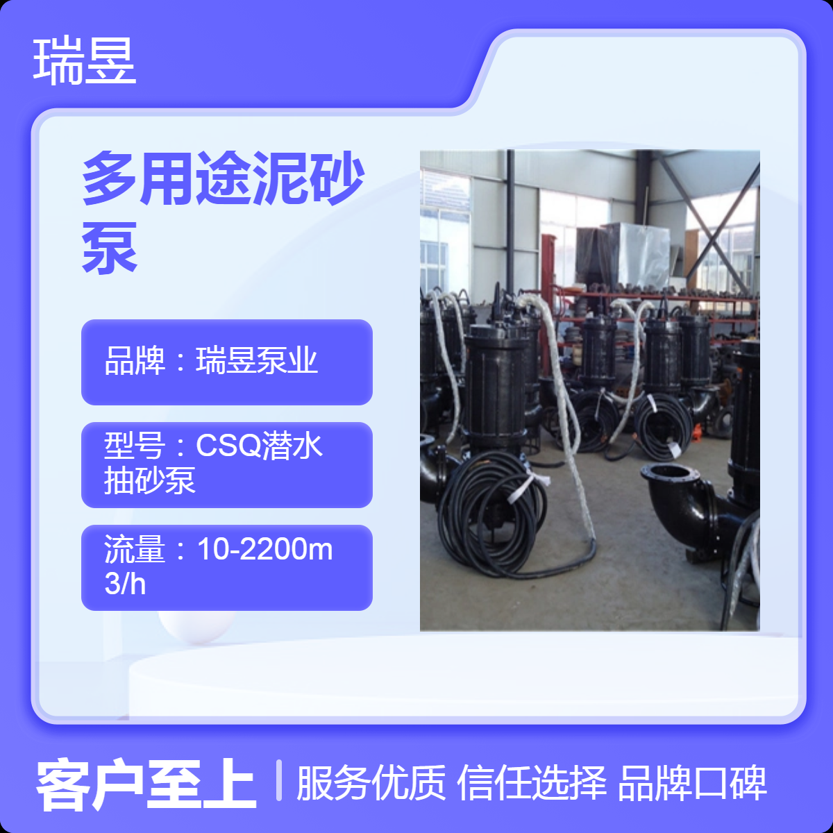 瑞昱泵业出品 多用途泥砂泵 电厂沉井用渣浆泵
