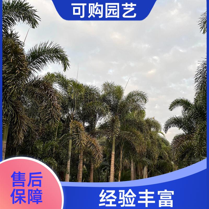 20240315/images/hOz2iTbiSfGepVdJgLvjQxeG3S8VhJgAbixNtAxA.jpg