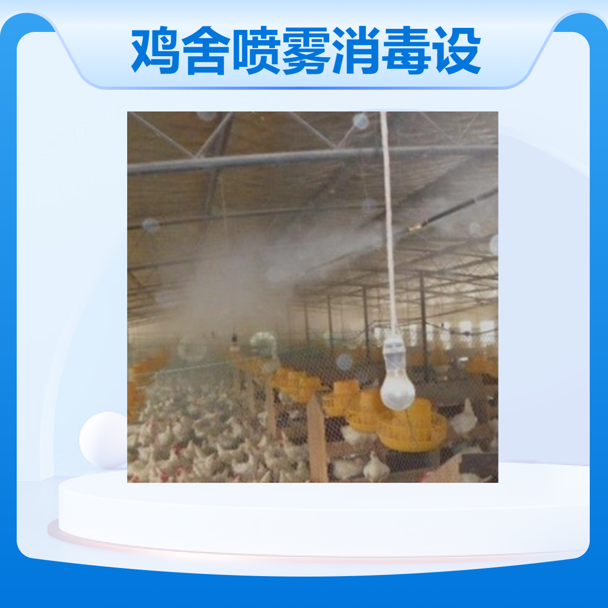 水云间景观 养鸡场喷雾消毒设备 雾森主机 智能喷雾控制系统