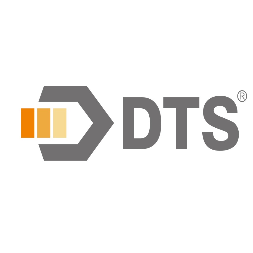 Shandong Dingtaisheng Machinery Technology Co., Ltd - Company Logo