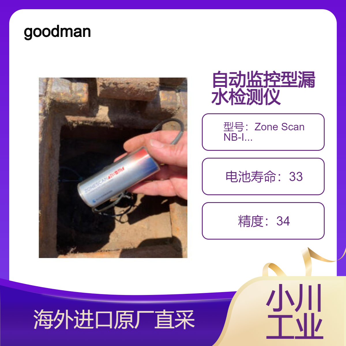 goodman自动监控型漏水检测仪Zone Scan NB-IoT监控记录仪漏水信息