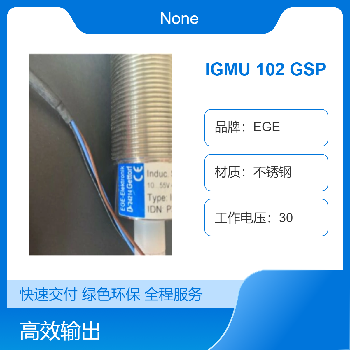 德国EGE原产不锈钢IGMF系列IP68防水防尘IGMU 102 GSP