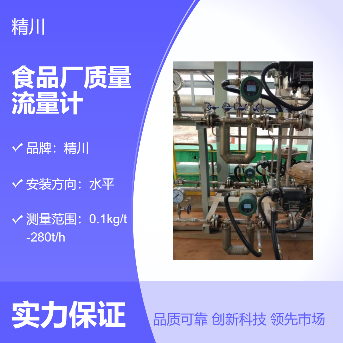 精川食品厂质量流量计DN1 液体测量 0.2级精度 水平安装