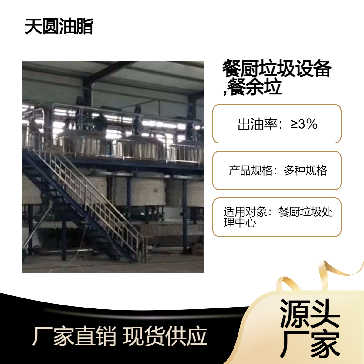 小型餐厨垃圾设备 日处理10吨厨余垃圾 天圆油脂 脱水除臭设备
