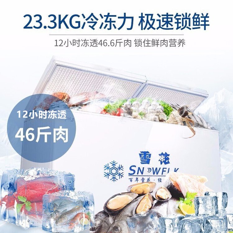 雪花大冰柜商用大容量冰箱家用冷藏冷冻保鲜单温转换柜旗舰店