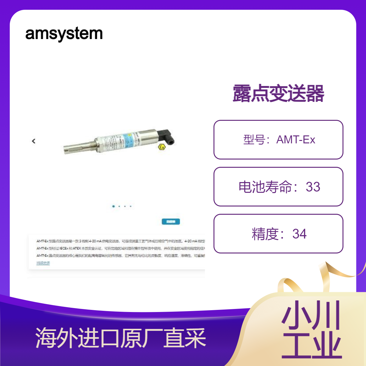 amsystems在危险区域和潜在爆炸性环境中使用AMT-Ex 露点变送器