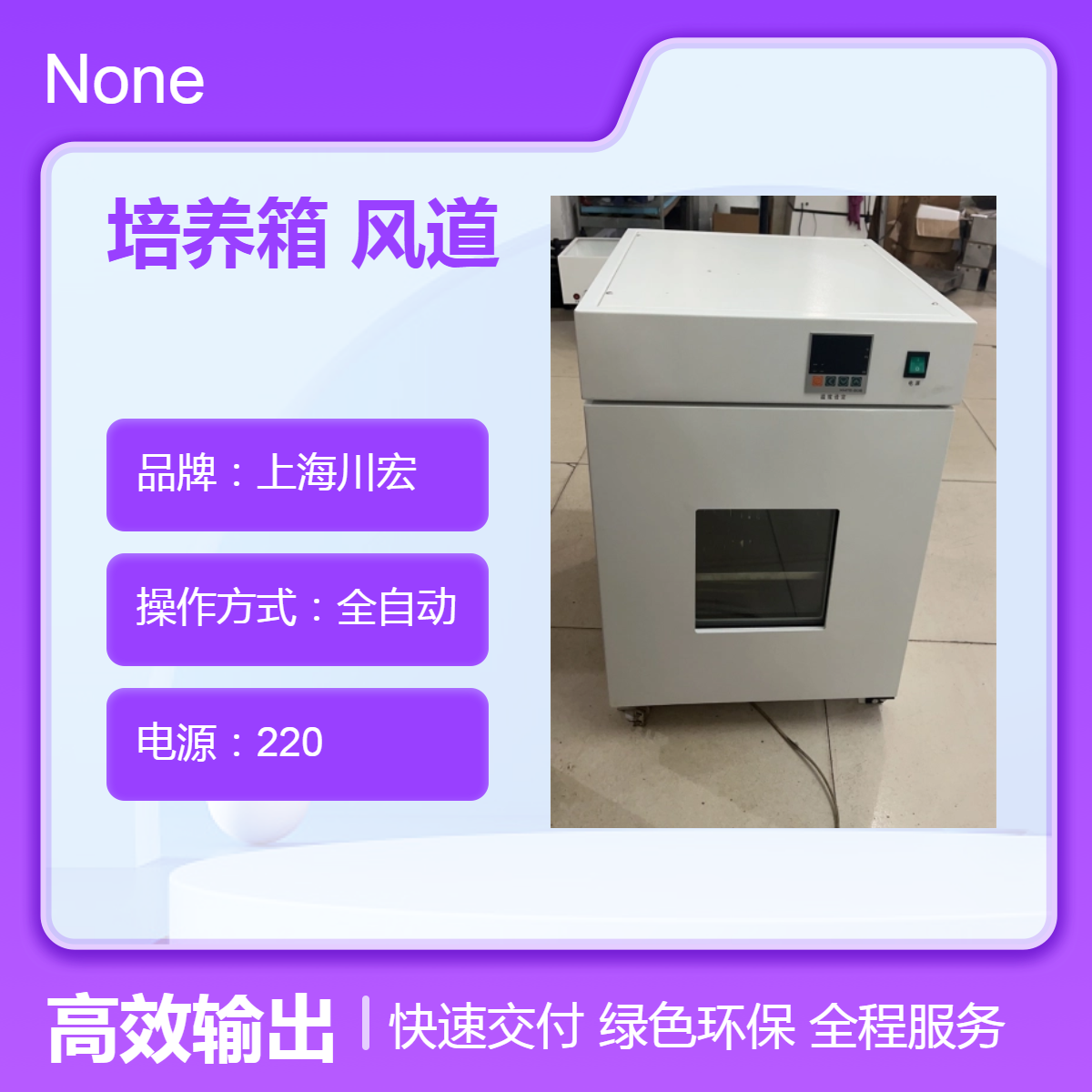 电热恒温培养装置DH2500B 小容量20L 腔内风道 温度均匀