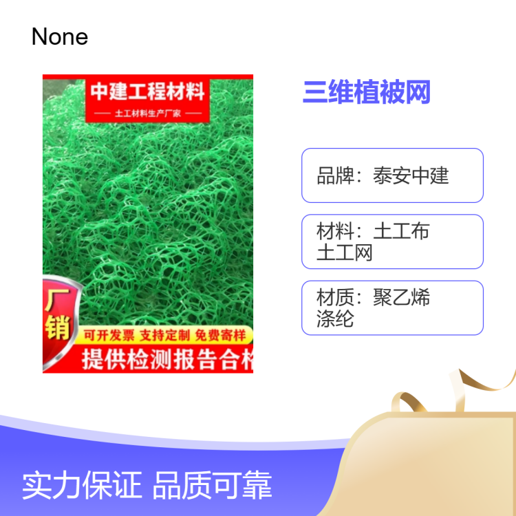 中建定制款三维植被网 护坡绿化好帮手 土工网 塑料网
