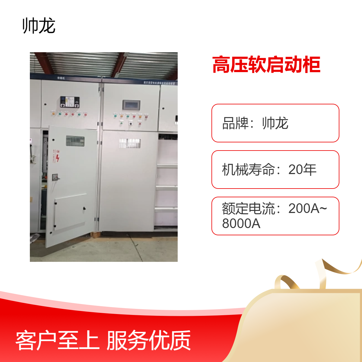 帅龙 高压电机用 高压软启动柜 鼠笼电机水阻起动柜 水阻柜