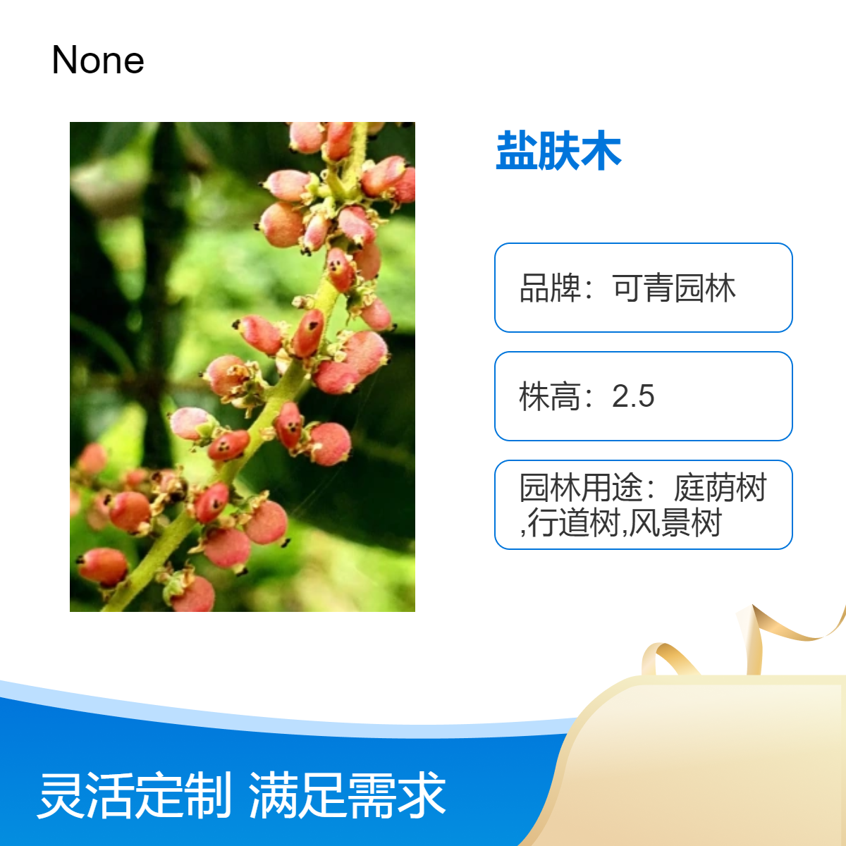 供应盐肤木别名盐麸木 观花植物 花坛花境庭院小区园林绿化工程苗