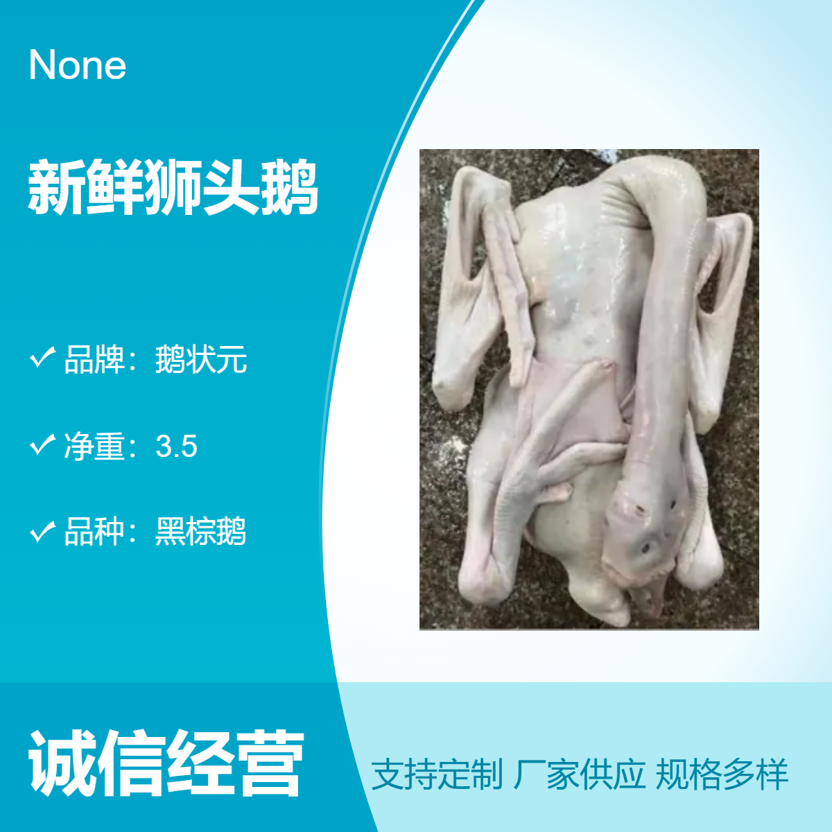 狮头鹅 新鲜鹅状元出品 5公斤净重优选品种批发