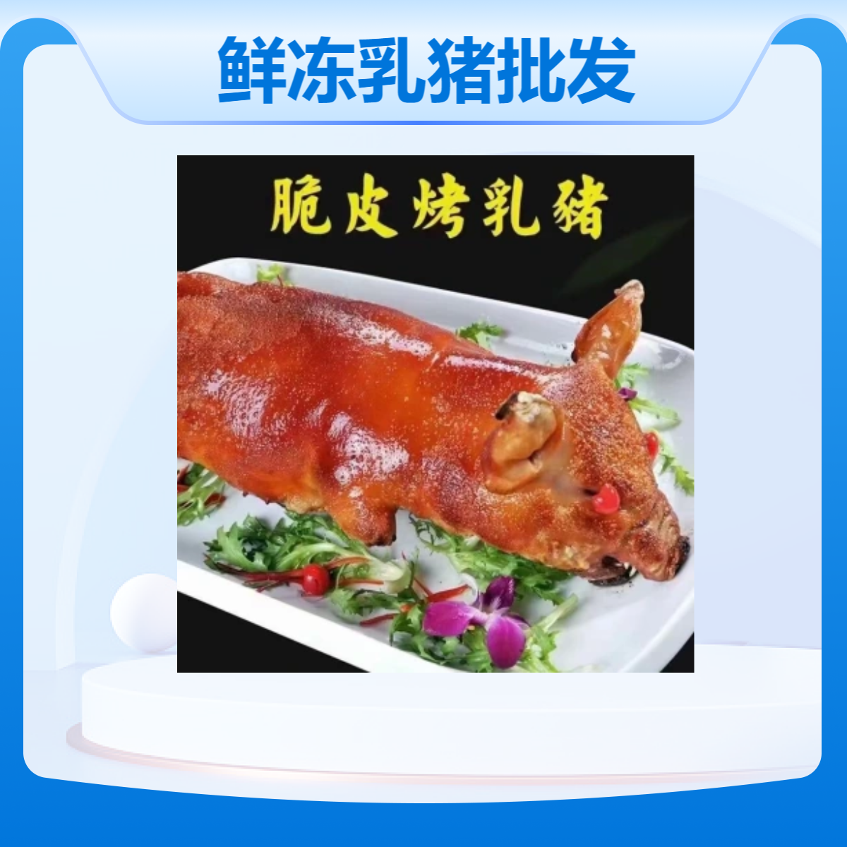 鲜冻乳猪广西土白猪广西花猪烧猪专用广西土猪巴马香猪冷冻乳猪猪