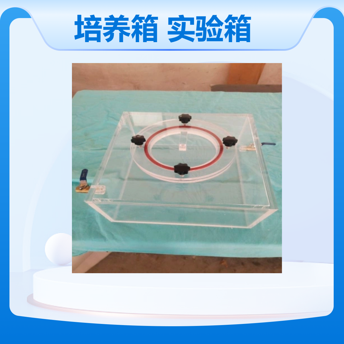 恒定培养箱亚克力恒湿恒温培养实验箱温湿度自动控制箱