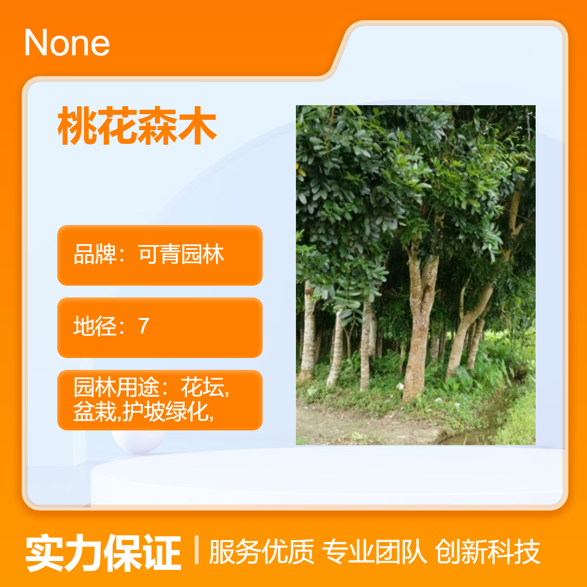 基地出售 桃花森木 落叶性灌木绿篱地被植物景区道路园林绿化风景树