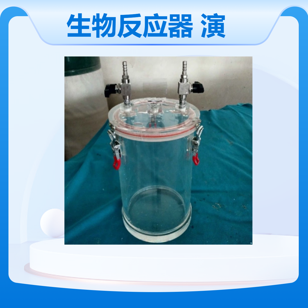 微藻废水光生物反应器亚克力反应实验演示装置订制
