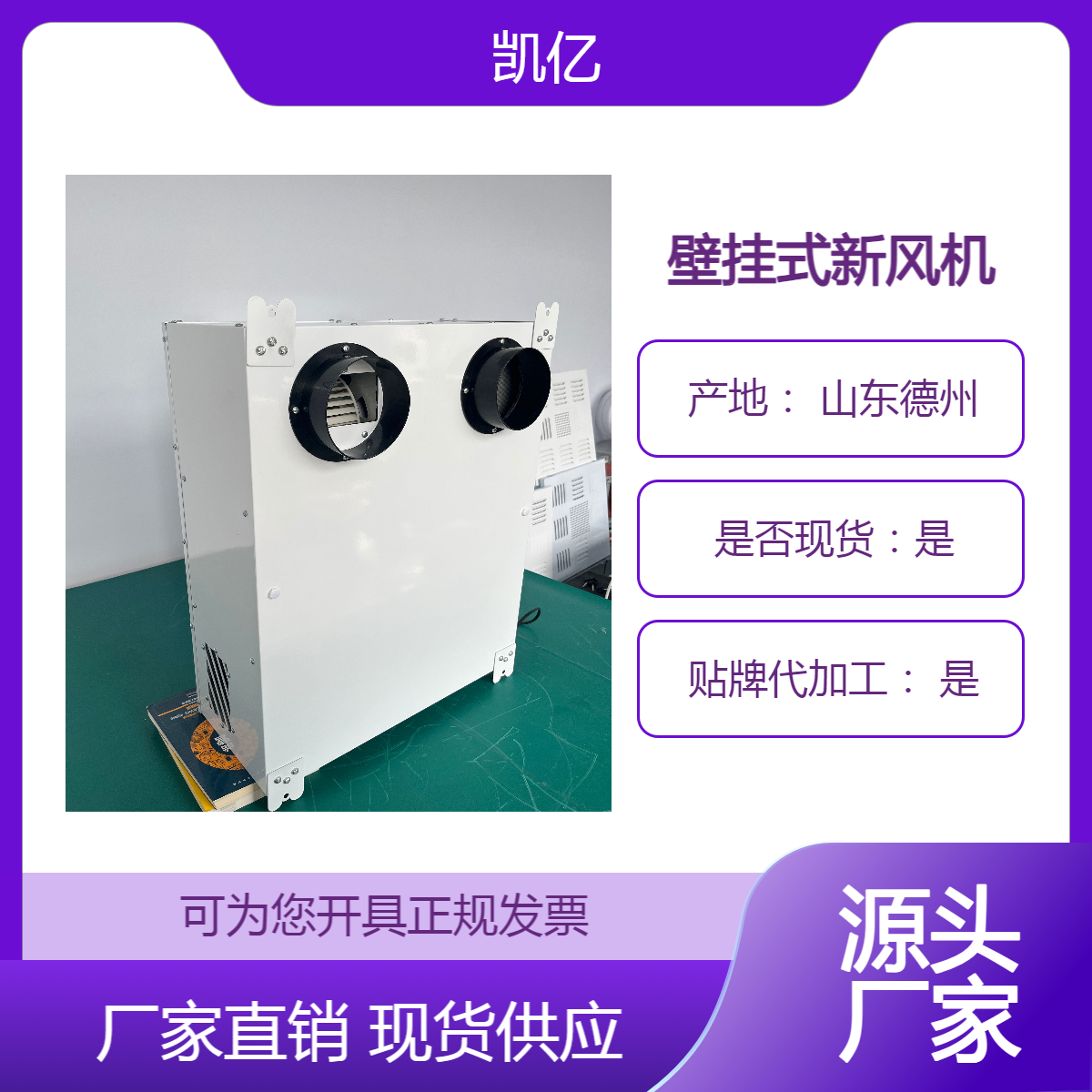 凯亿 壁挂式新风换气机 商用通风机排风新风换气器 PM2.5除霾