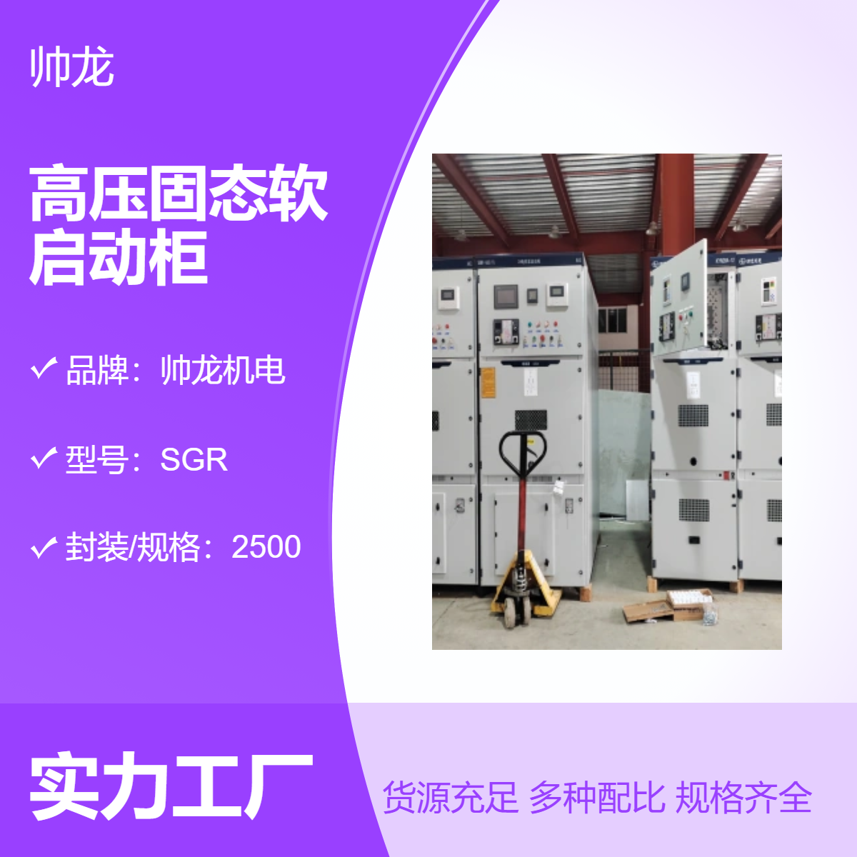 供应帅龙机电高压固态软启动柜SGR 大功率高压电机起动柜