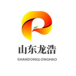 山东龙浩重工机械有限公司 - 公司logo