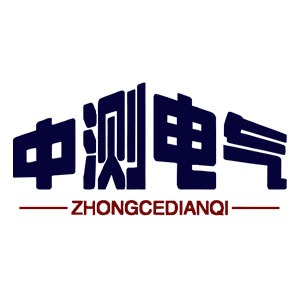 武汉中测电气有限公司 - 公司logo