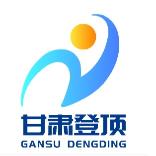 甘肃登顶照明工程有限公司 - 公司logo