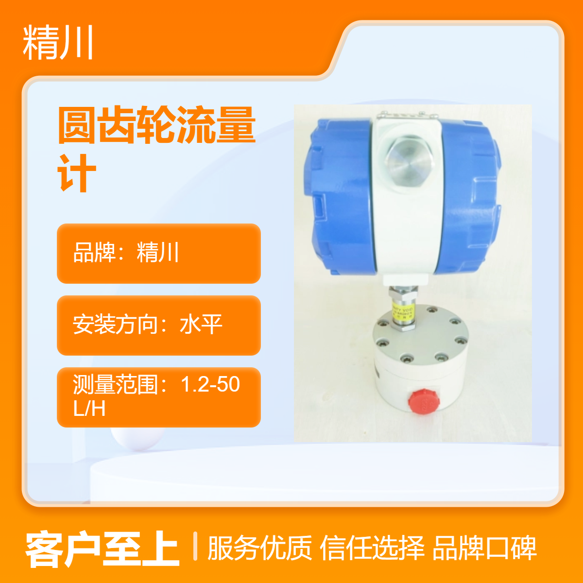 精川小流量防腐型圆齿轮流量计在污水处理加药系统多用