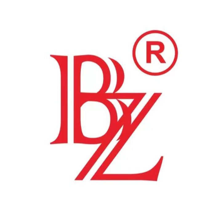 浙江邦照电气有限公司