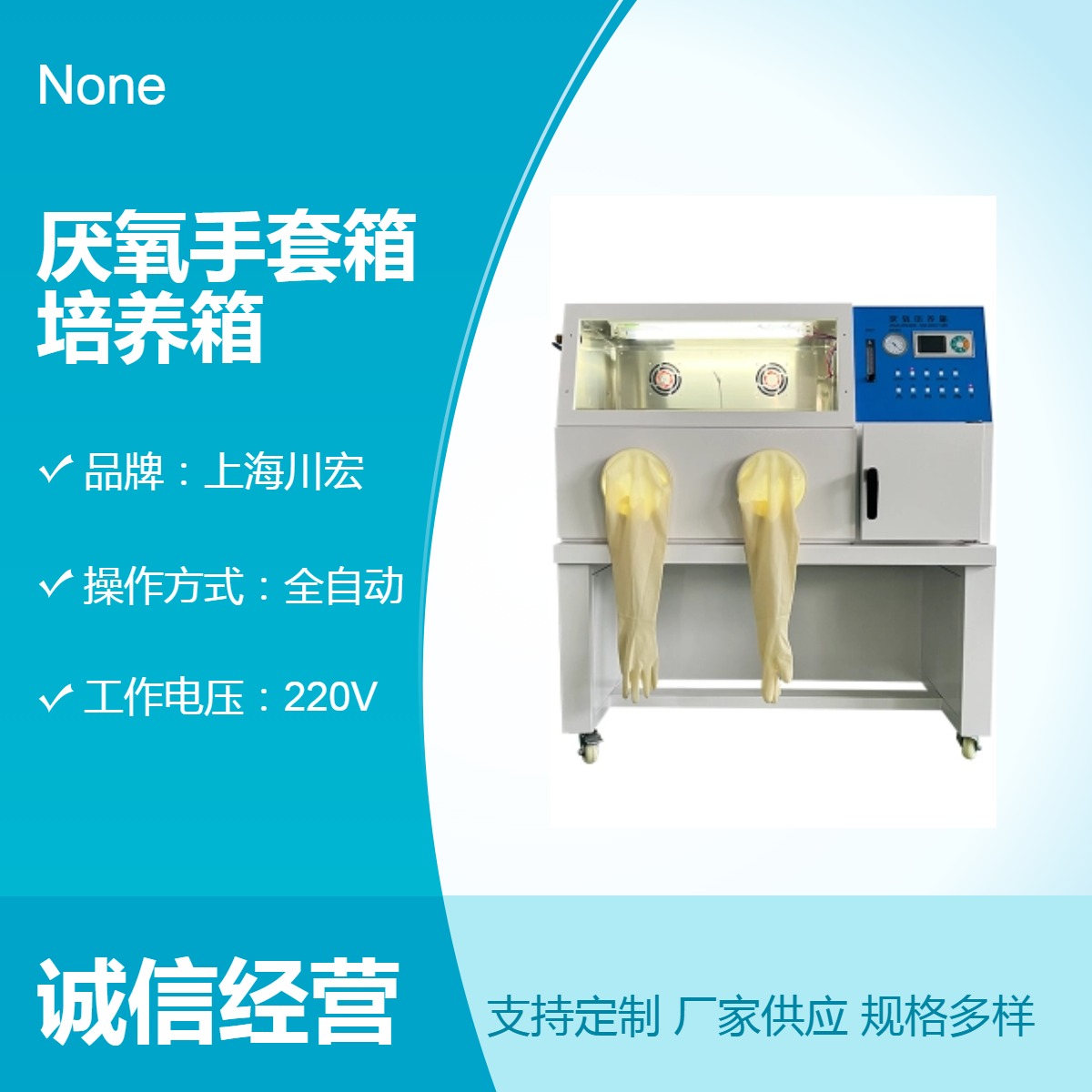 微需氧厌氧手套箱YQX-III 操作培养一体 厌氧细菌培养箱