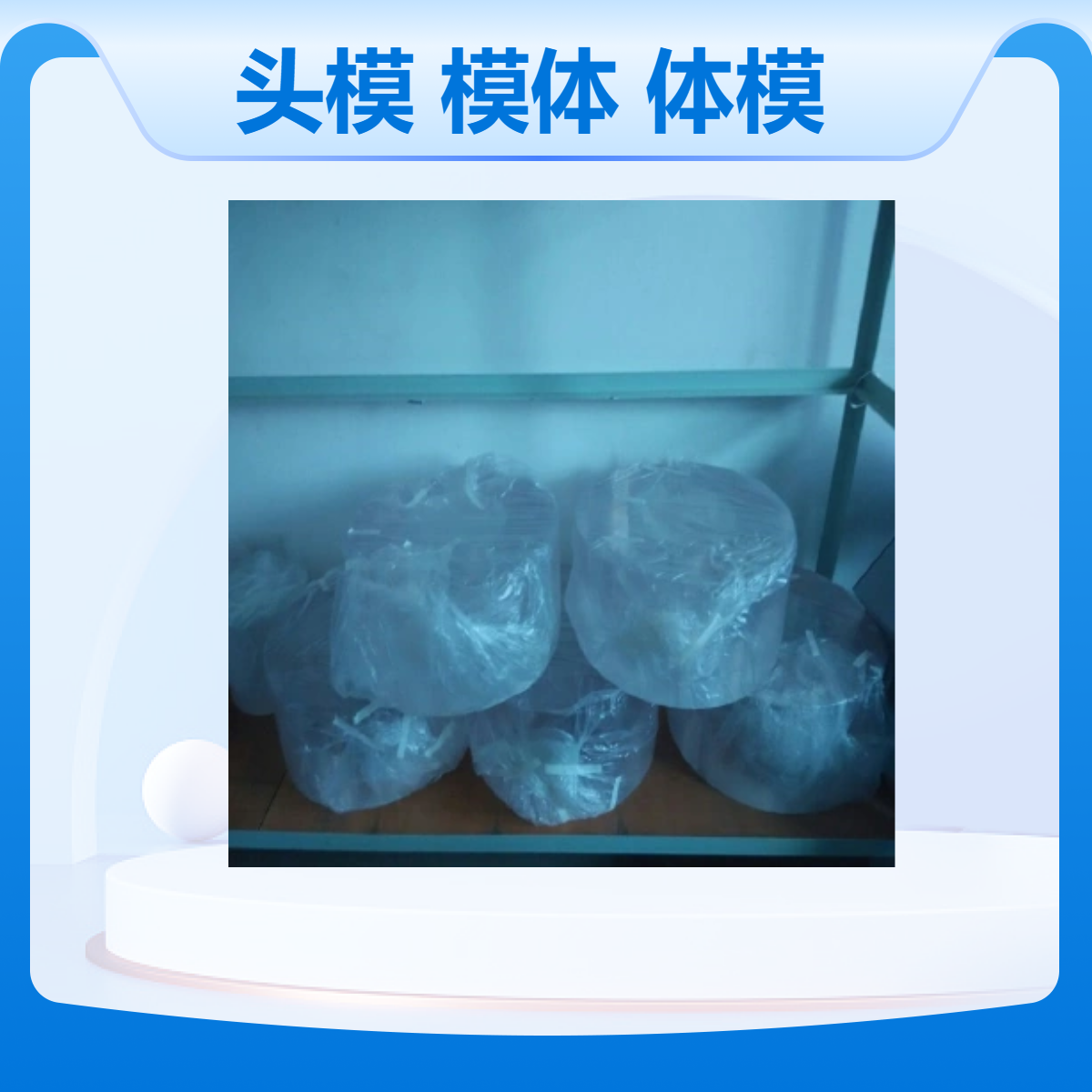 CT剂量检测头模CTDI剂量指数检测头部模体和体部剂量体模
