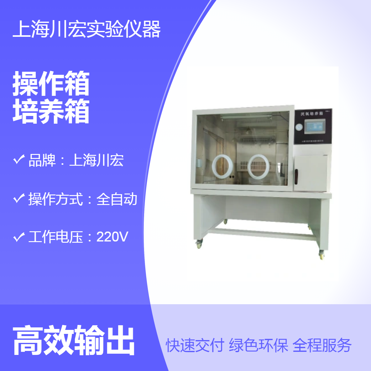 厌氧工作站ZDYY-II 无氧操作箱 厌氧菌微生物培养箱