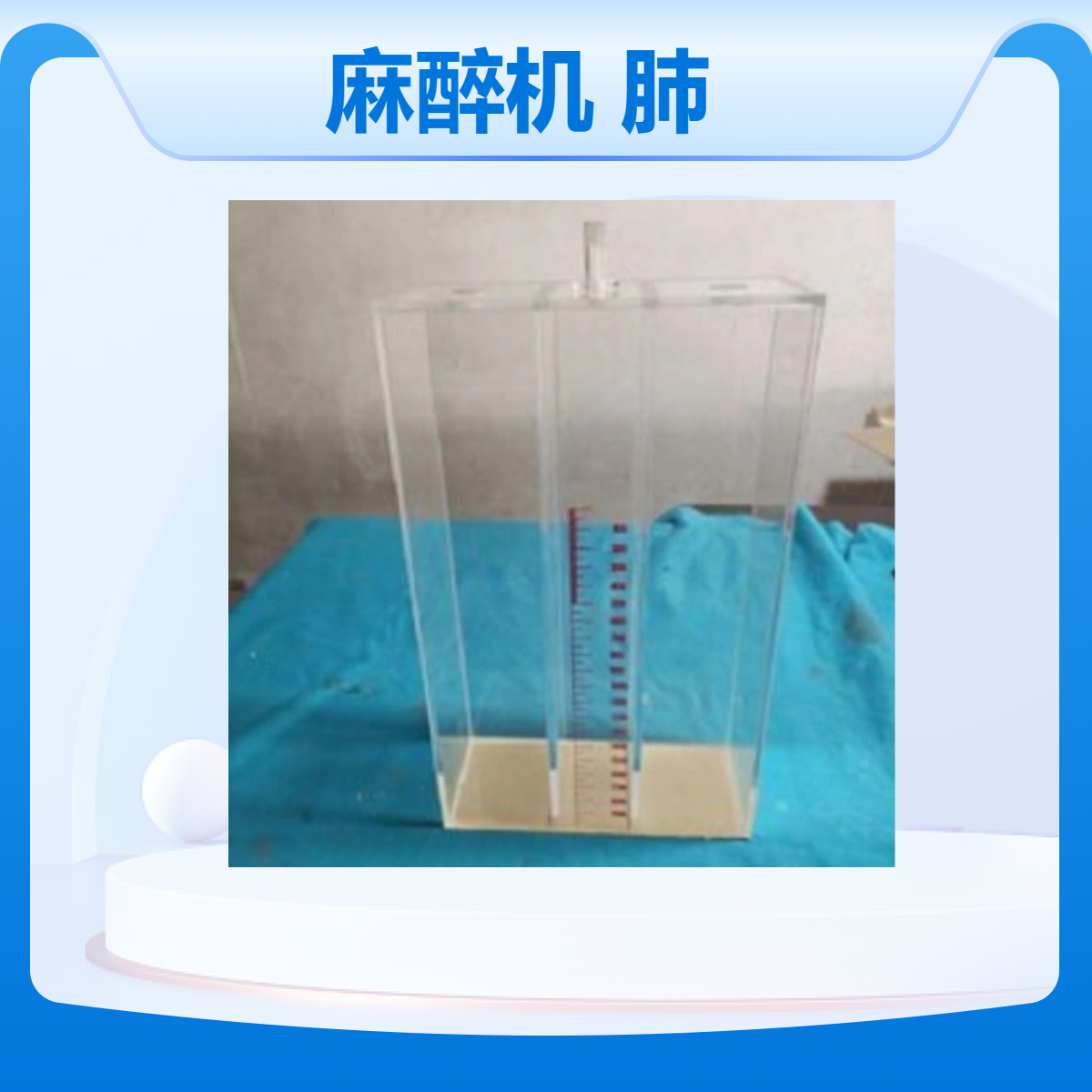 定做有机玻璃呼吸模拟水肺麻醉机潮气量检测模拟水肺