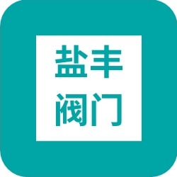 河北盐丰阀门有限公司 - 公司logo