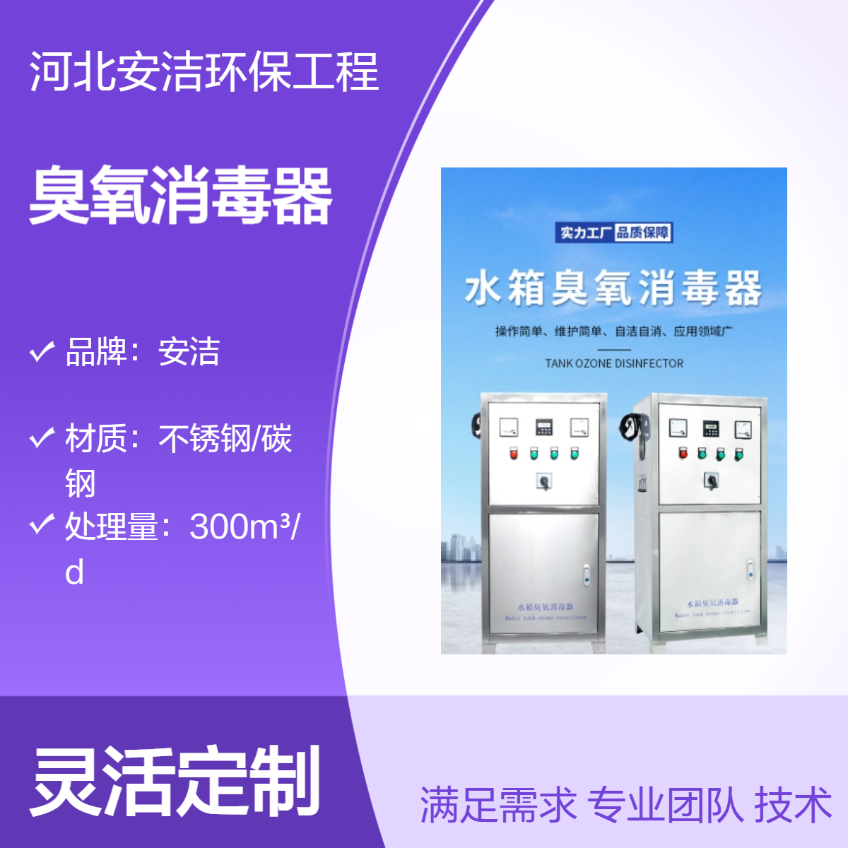 WTS -2W 碳钢经济款 微电解自洁消毒器 生活 消防水箱专用