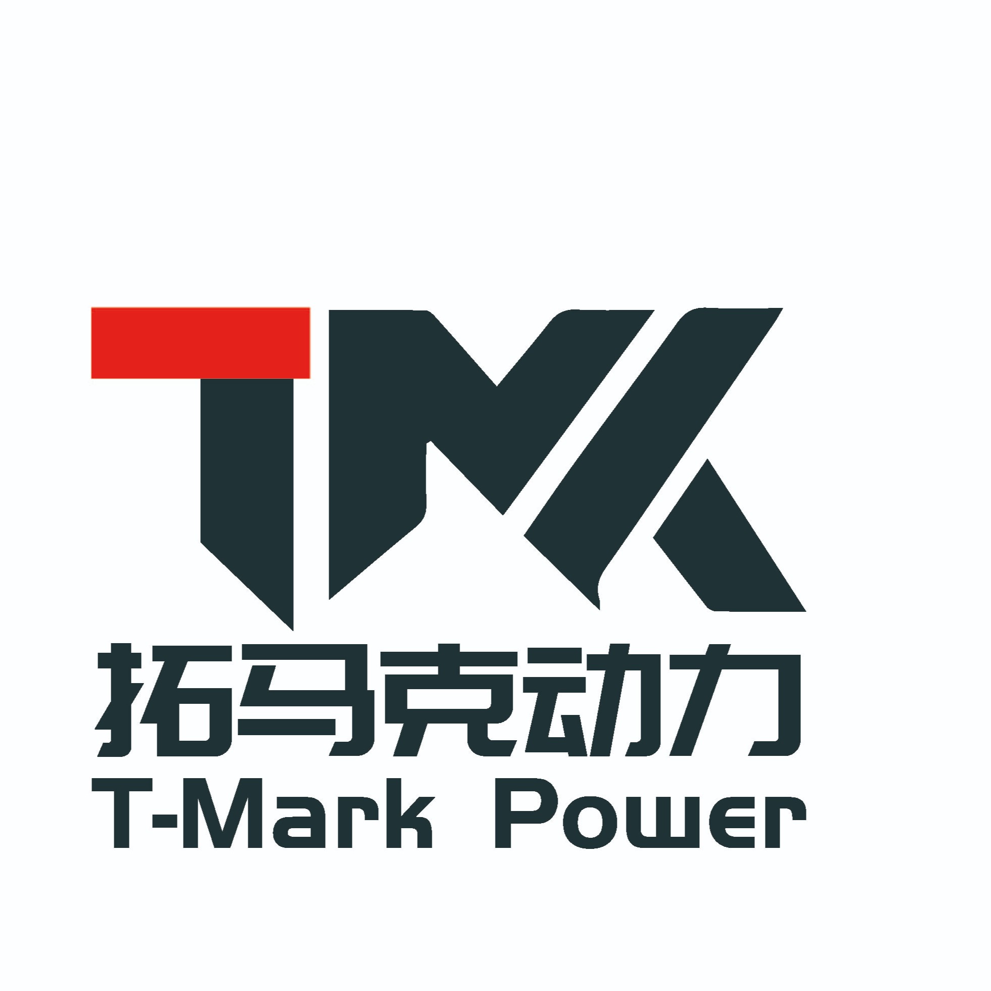 湖北拓马克动力科技有限公司