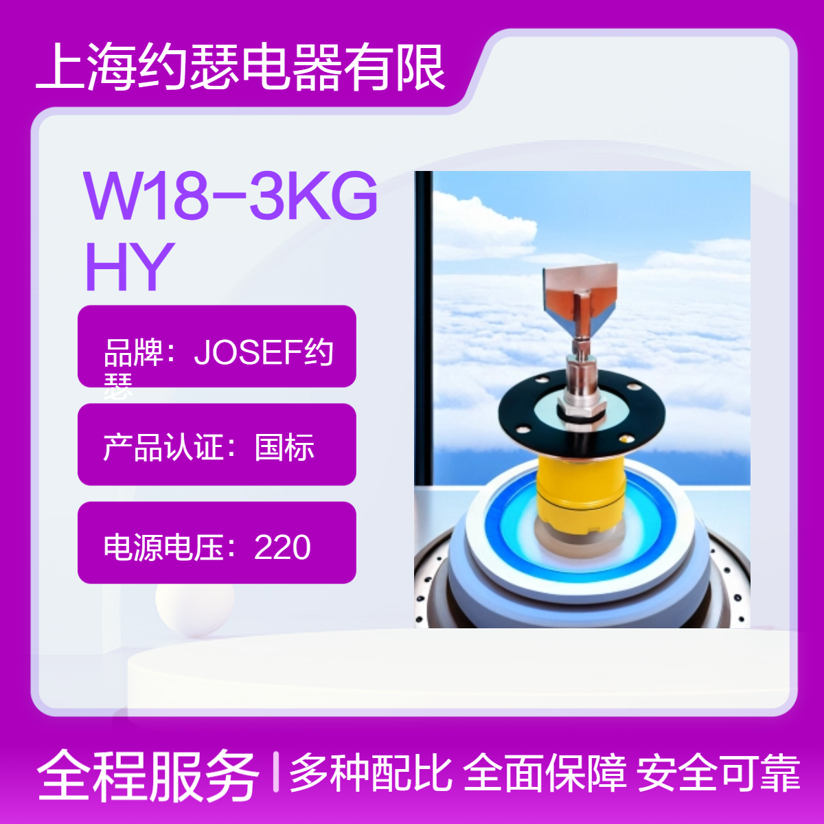 W18-3KGHY阻旋式料位检测器 绝缘电阻≥100MΩ，抗干扰