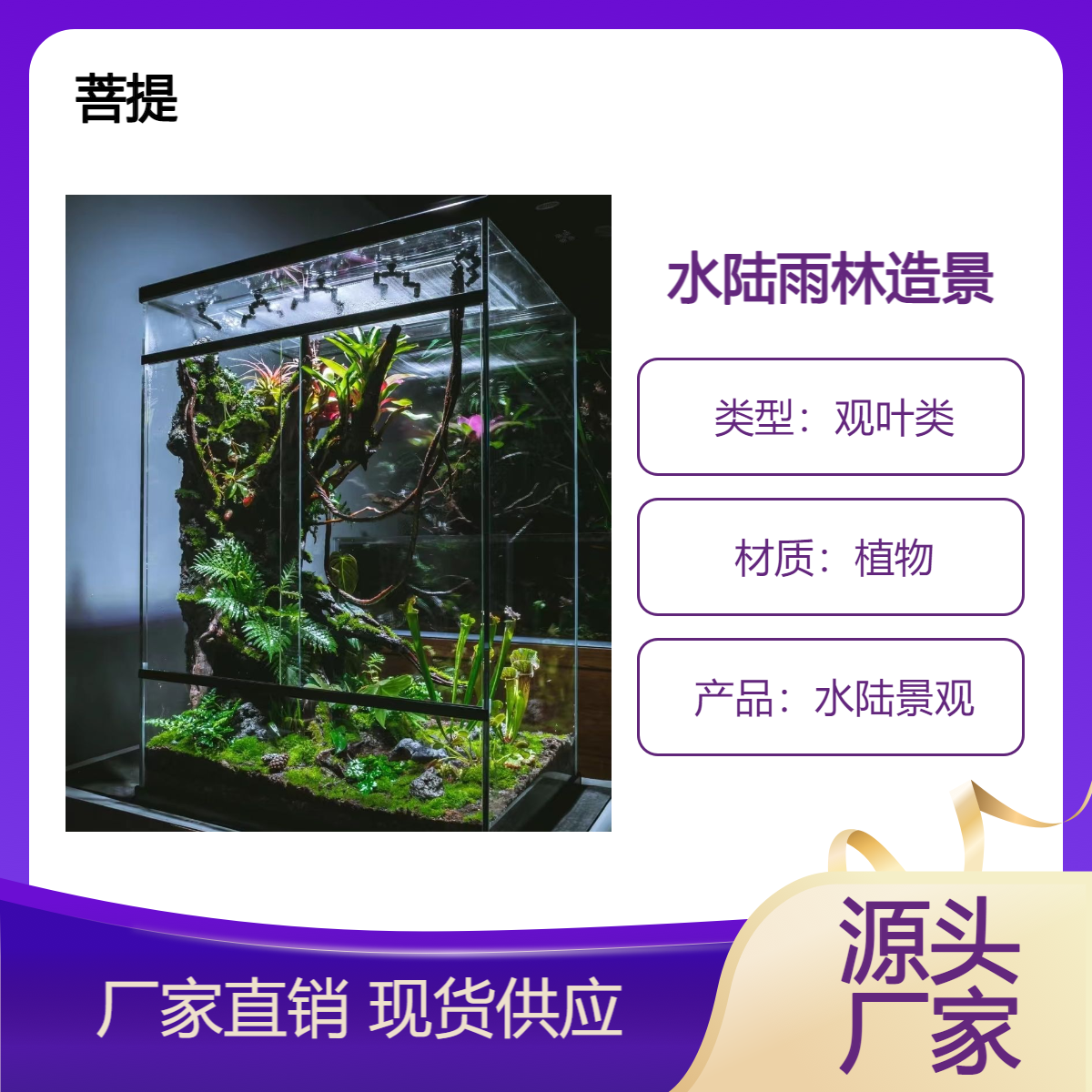 水陆景观施工建造 生态造景 承接热带雨林生态景观水草缸