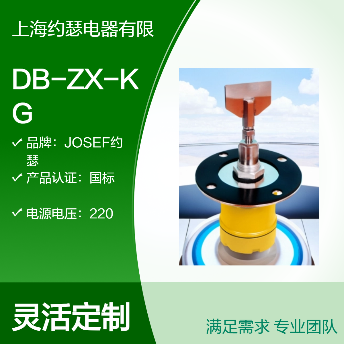 JOSEF约瑟 DB-ZX-KG阻旋式料位检测器 安装简单、易于操作