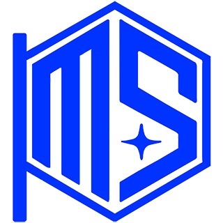 天津市泊曼森科技发展有限公司