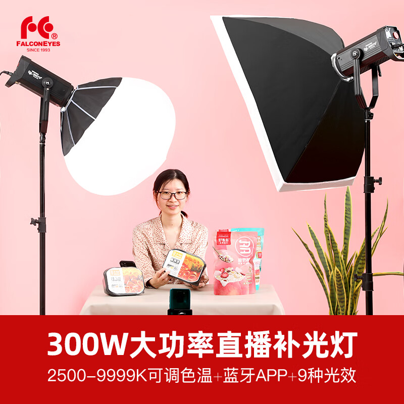 锐鹰（FALCONEYES） 大功率300W双色温直播补光灯视频电商美女主