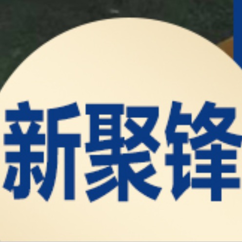 临沂新聚锋锅炉有限公司 - 公司logo