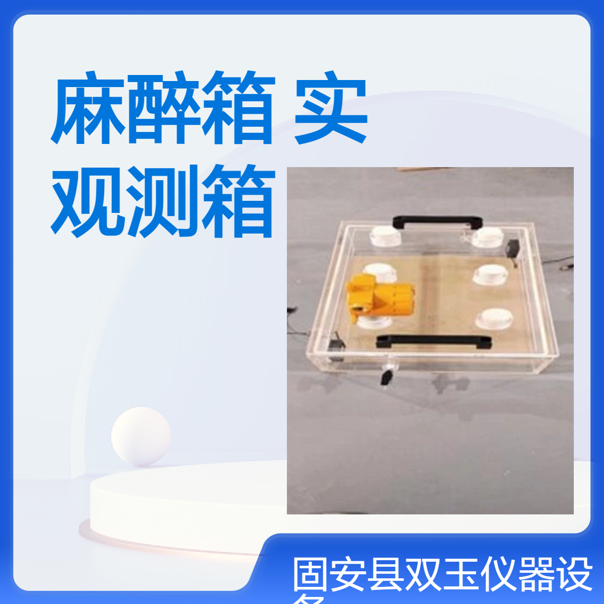 大小鼠实验麻醉箱小鼠实验观测箱有机玻璃小动物实验装置和设备加工
