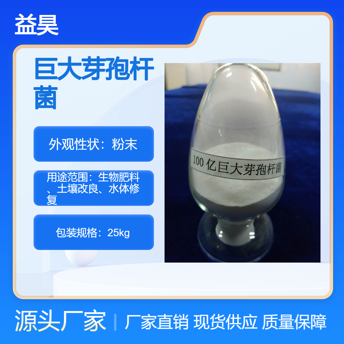 巨大芽孢杆菌 溶磷菌 100亿 土壤改良 水体修复 益昊