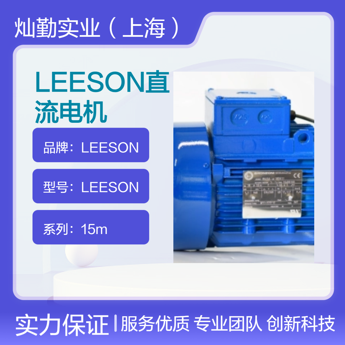LEESON直流电机 15m系列 工业级 托盘包装 高效稳定