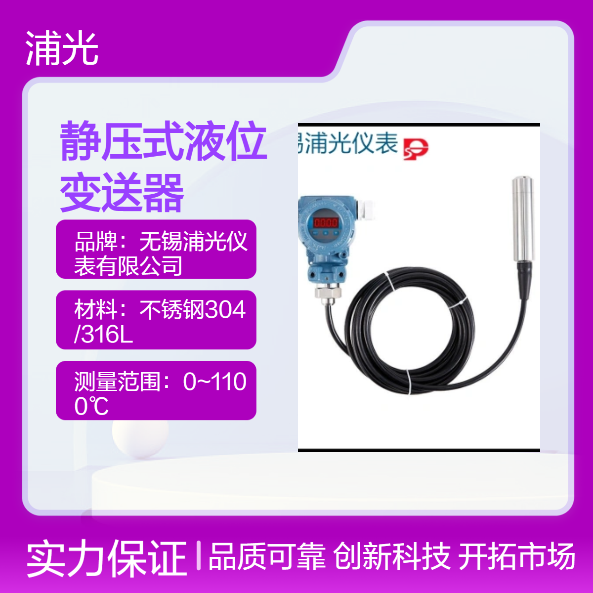 浦光 一级静压式液位变送器 无固定联接 K型分度号2S响应时间