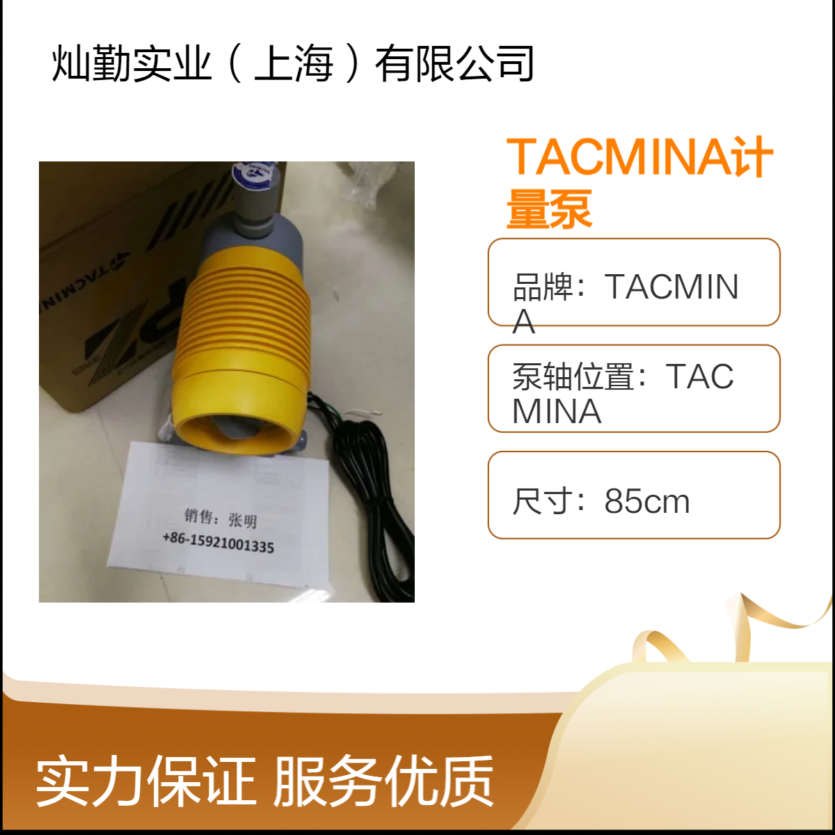 95A电流TACMINA计量泵 85cm大尺寸 15MPa高压工业泵