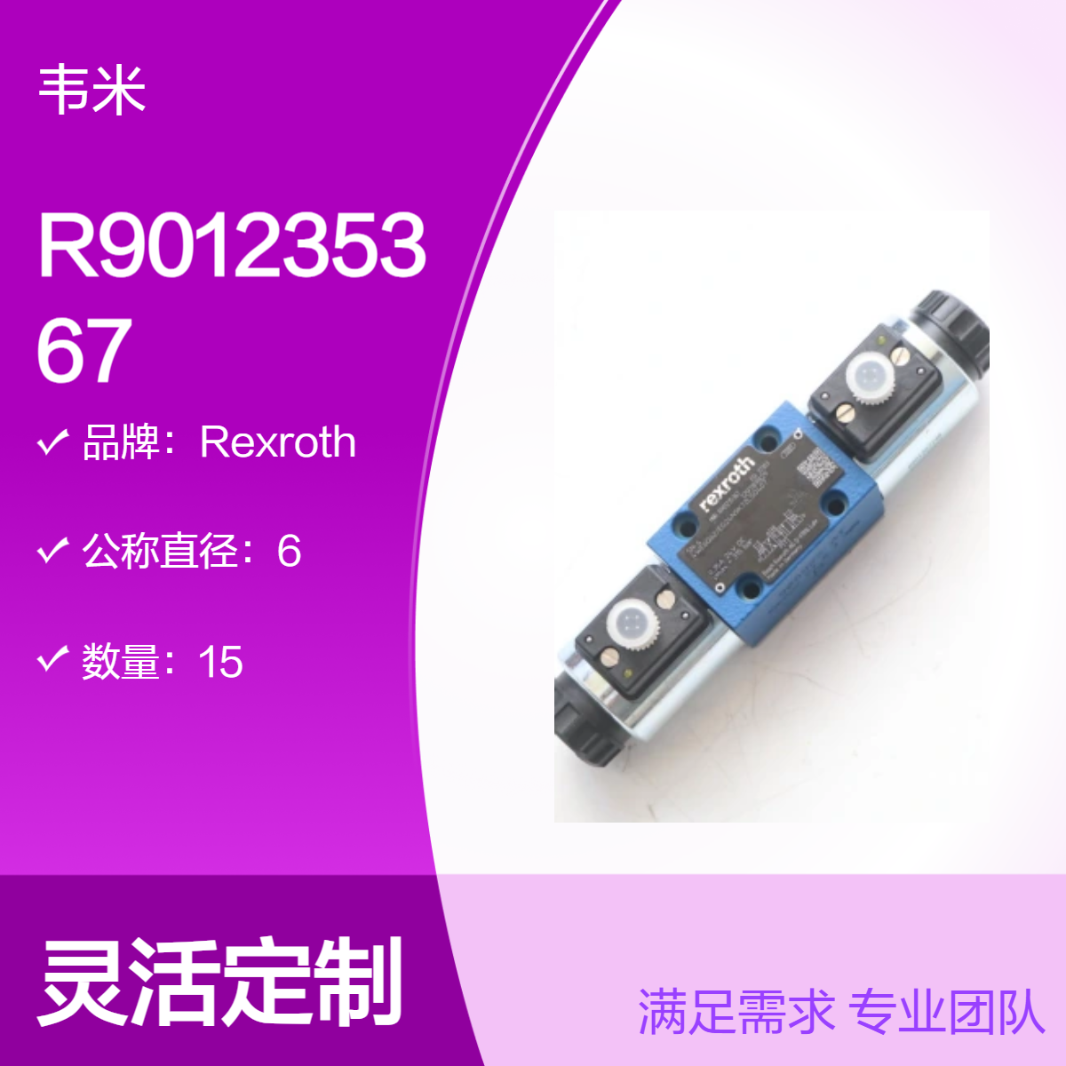 机械设备用电磁阀 R901235367 4WE6Q62/EG24N9K72LSO407铸铁材质